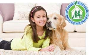 Chem-Dry carpet cleaning franchise / area rugs